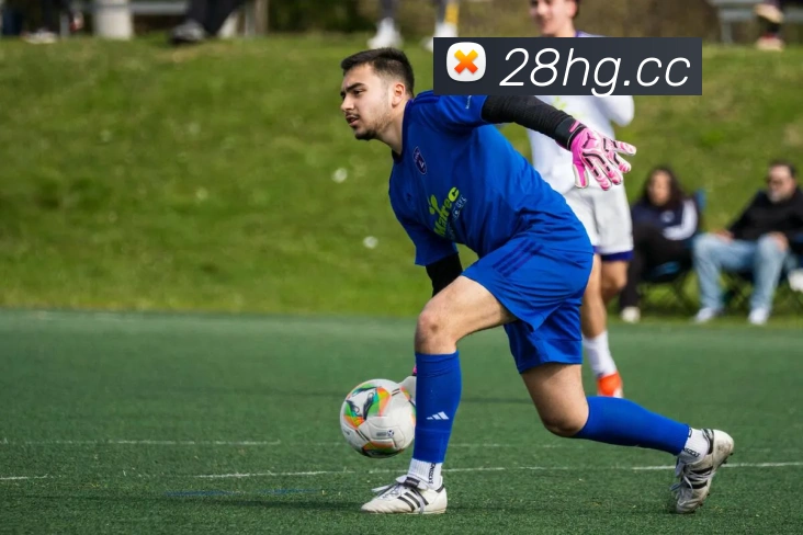 皇冠娱乐平台生态图