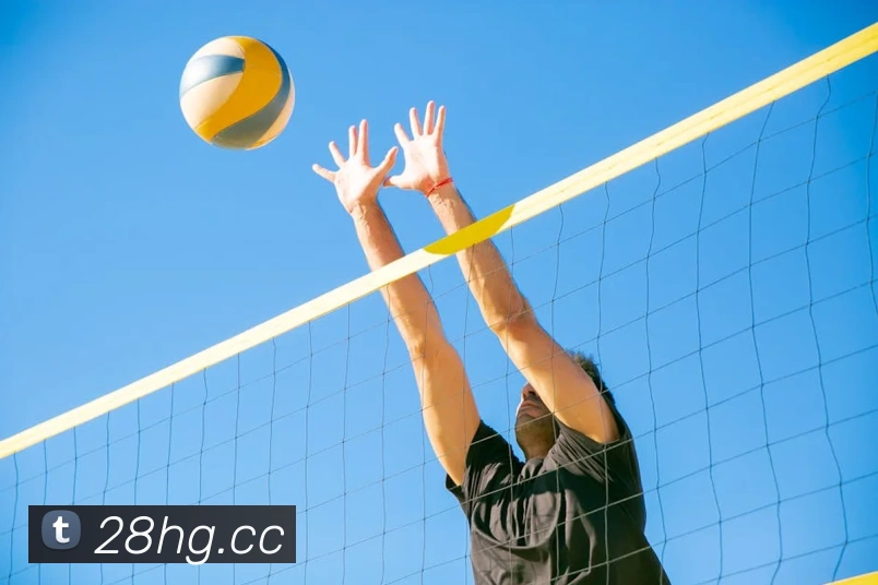 皇冠娱乐APP 封面图